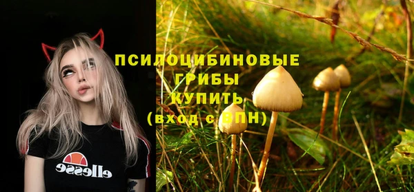 2c-b Зерноград
