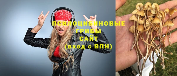мяу мяу кристалл Инта