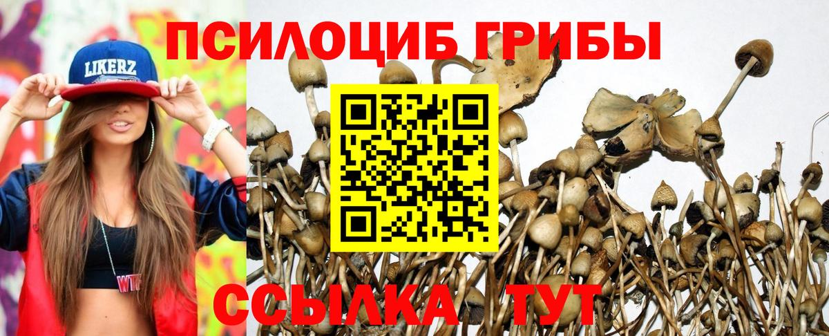 Псилоцибиновые грибы ЛСД Красноперекопск
