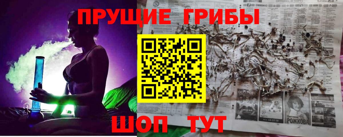 Псилоцибиновые грибы Psilocybine cubensis  Вход с VPN  Красноперекопск  Псилоцибиновые грибы мицелий 